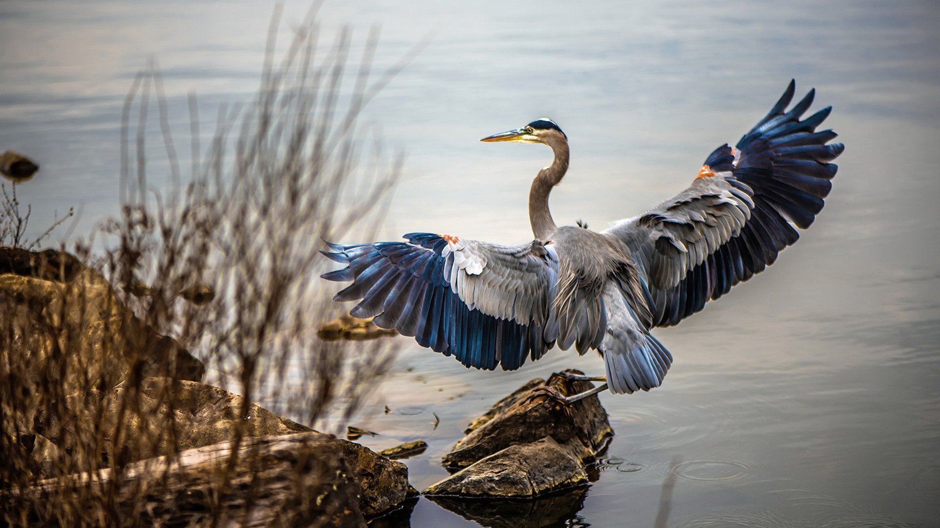 华体会手机在线-中国足球门将扑救区域热图，中国足球门将最差吗  第2张