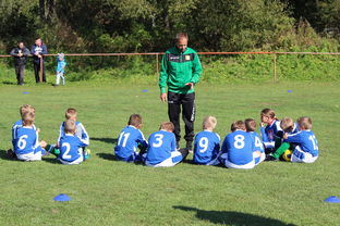 华体会登录入口-中国足球门将扑点能力综合评分，门将扑点率  第3张