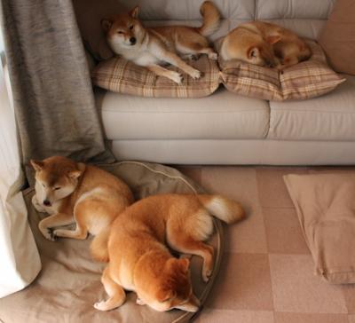 华体会-中国足球门将技术细项评分对比分影响分析，中国足球门将排名  第6张