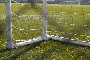 华体会app安装-中国足球门将站位与丢球位置对应分析,中国足球队员门将 第1张 华体会app安装-中国足球门将站位与丢球位置对应分析,中国足球队员门将 第1张