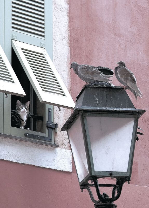 华体会-全国青少年冰球锦标赛北方队称霸，中国青少年冰球国家队名单