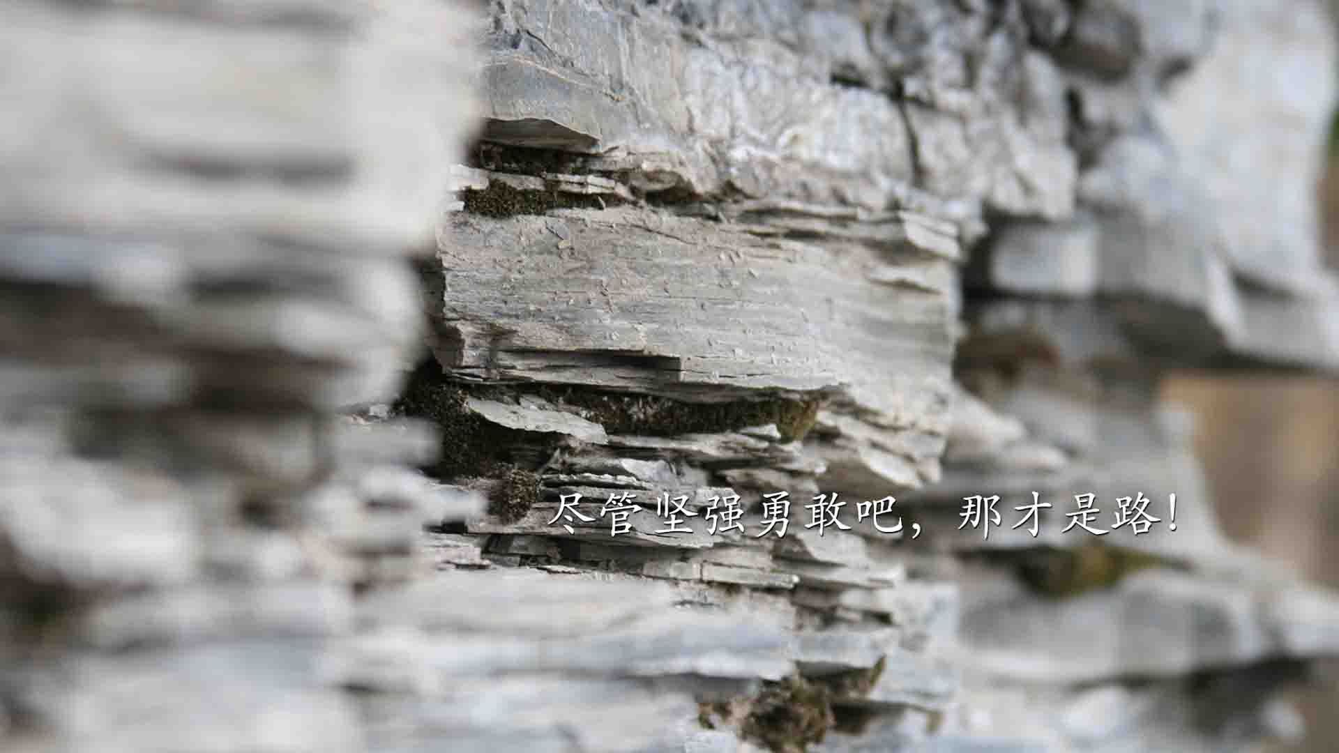 华体会网站-数字化体育课程内容开发与教学资源共享机制，数字化体育教学应用  第2张