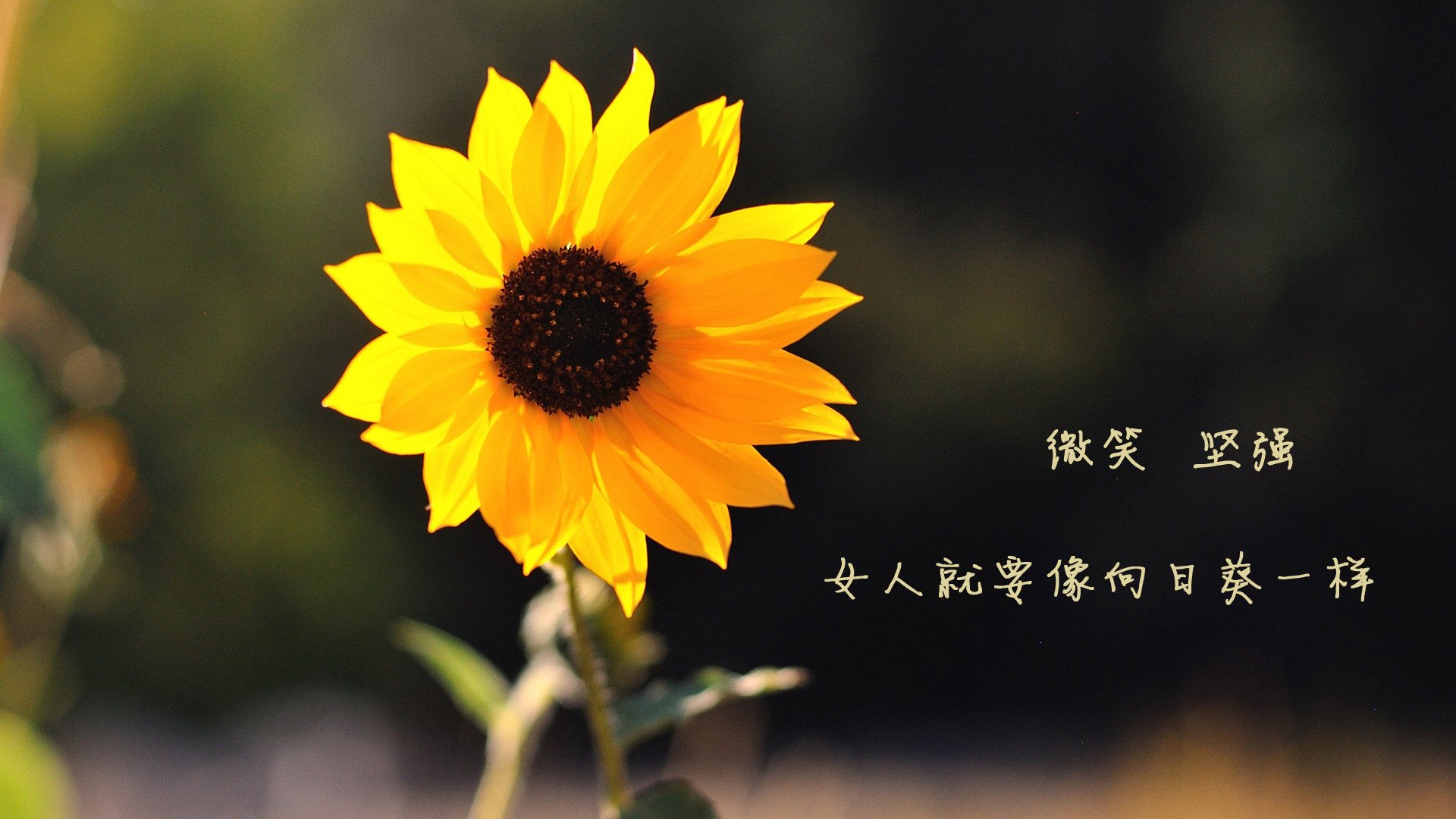 华体会在线-篮球专项训练中的训练负荷科学调控，篮球负重训练买多重的合适  第2张