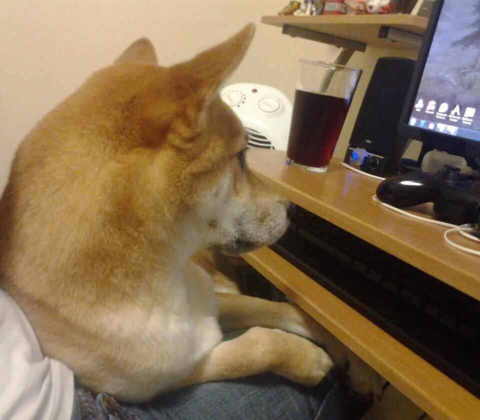 华体会在线登录-CBA联盟完善联赛规则 保障公平竞争，联赛cba联赛