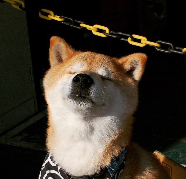 华体会app登入-“武汉马拉松赛：每一秒都决定命运”