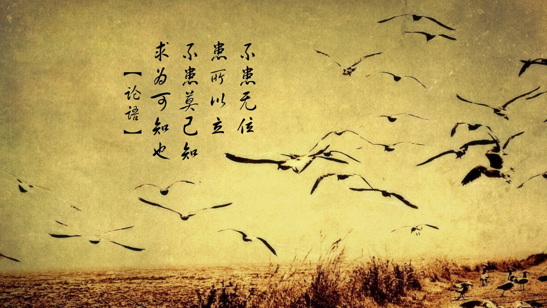 华体会网址-“高新体育中心：健力赛事见证选手超越自我，力争金牌”