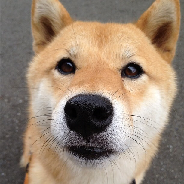 华体会网址-东亚杯中国队惨败 球迷建议加强心理辅导，中国队东亚杯冠军