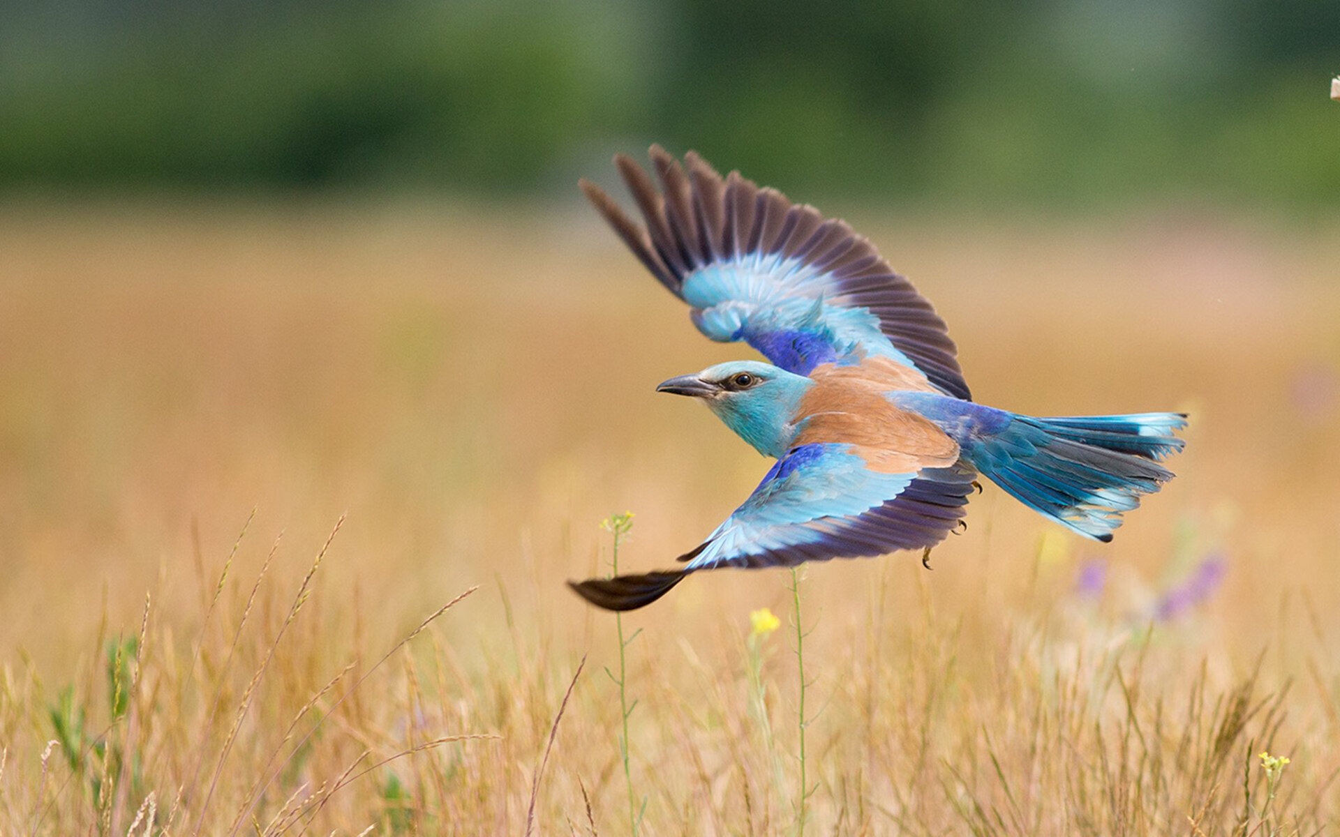 华体会手机网站-主力球员伤停期间替补轮换表现能否稳定发挥，球赛伤停补时算吗