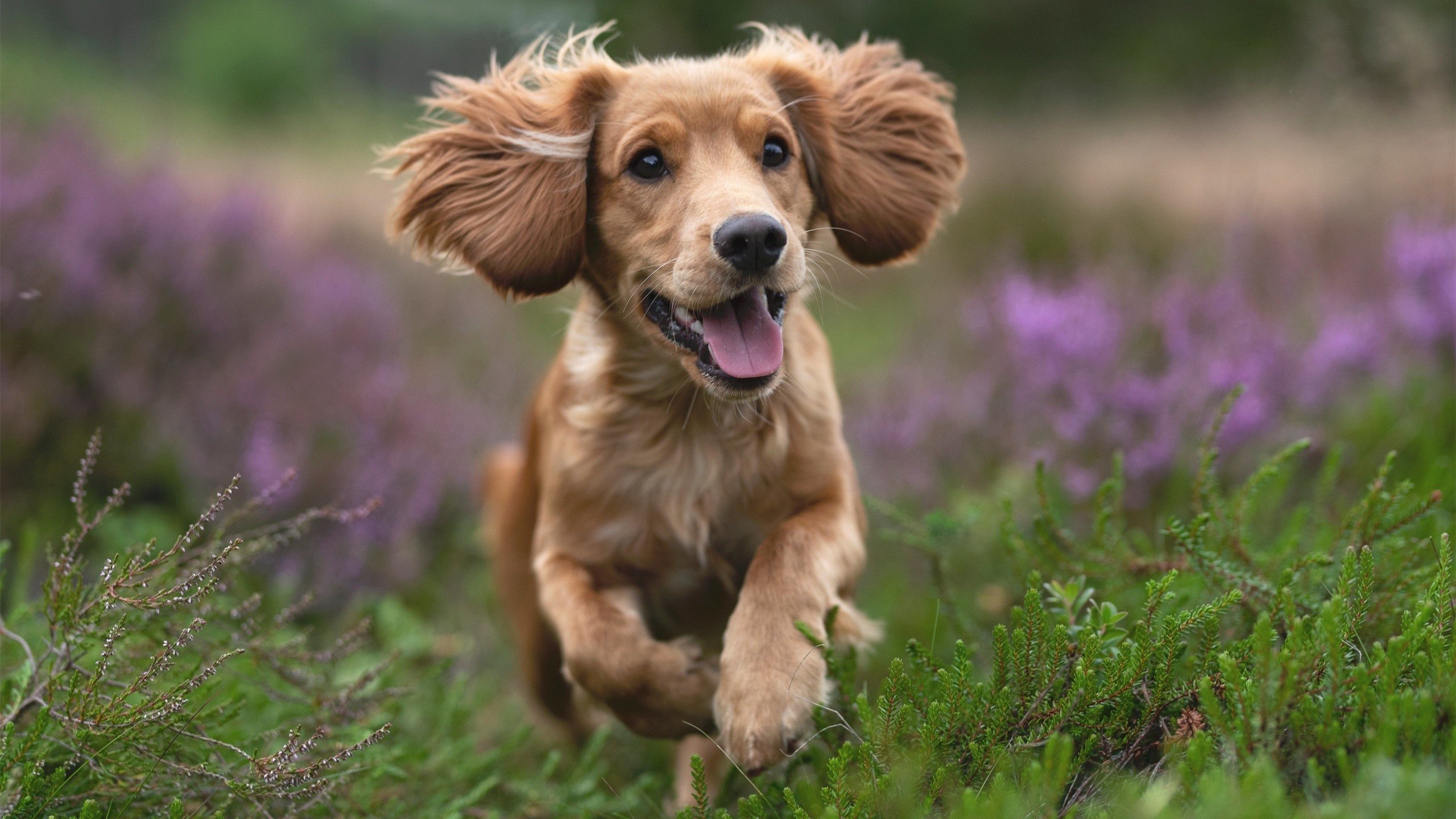 华体会在线下载-得分手是否应兼具组织能力