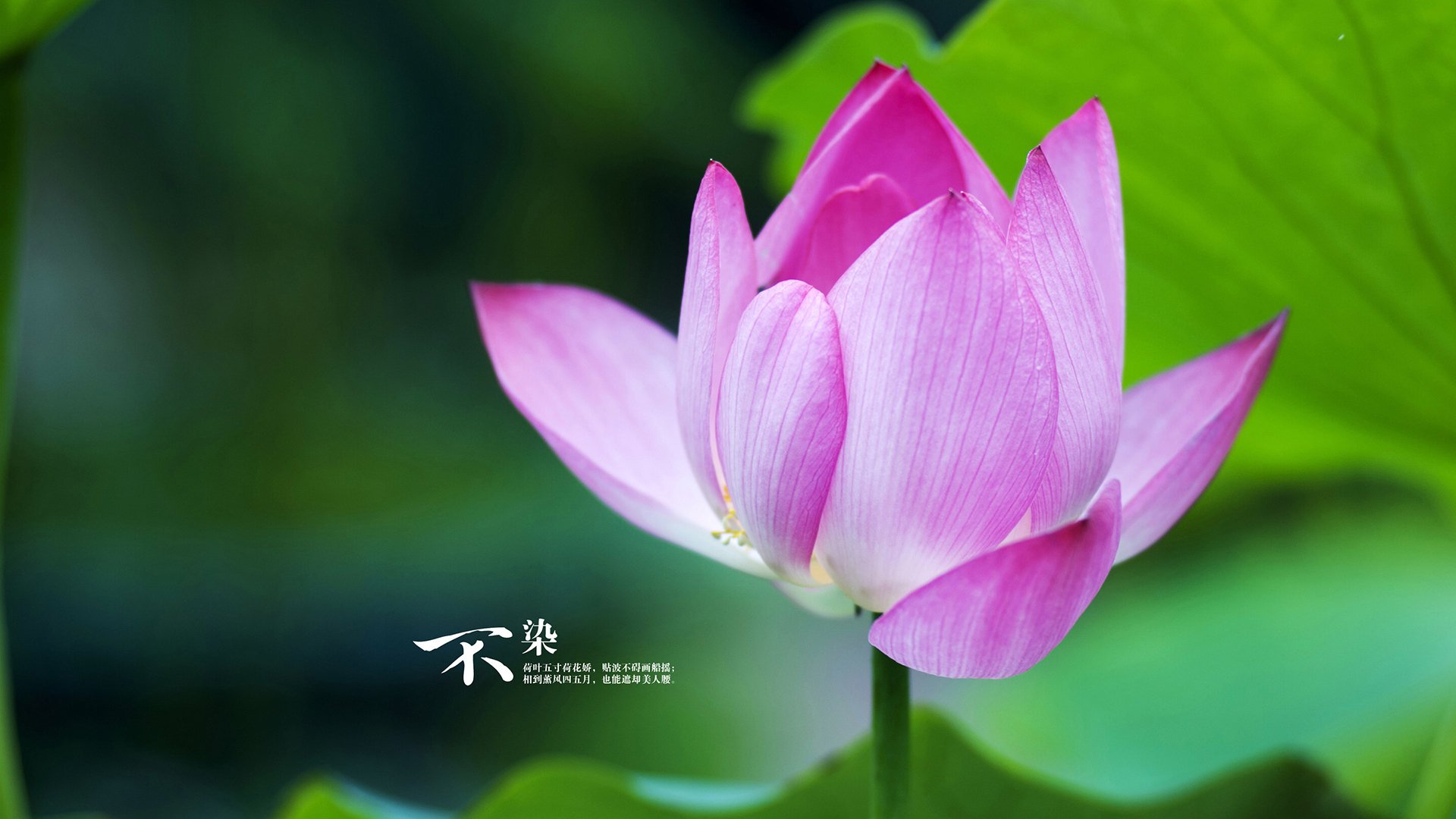 华体会app下载-球队瞄准洲际强队对抗能力再升级，洲际对抗赛赛程