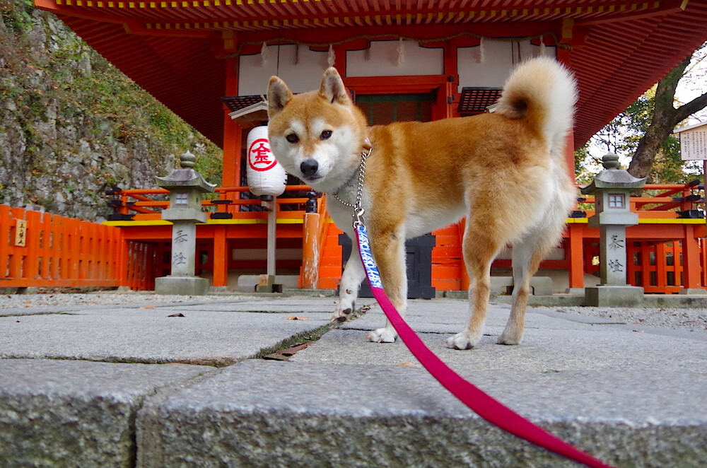 华体会网址-节奏变化频繁是否会让对手难以预判防守，节奏改变旋律会改变吗