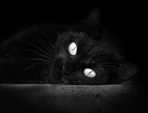 华体会平台-世界杯激情碰撞：终场哨响前的绝妙瞬间，世界杯哨子  第2张