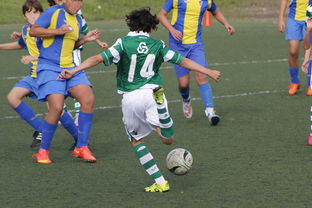 华体会登录地址-国家体育场运营中心发布暑期开放时间公告，国家体育场百度百科