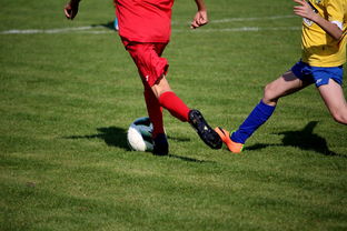 华体会登录地址-国家体育场运营中心发布暑期开放时间公告，国家体育场百度百科