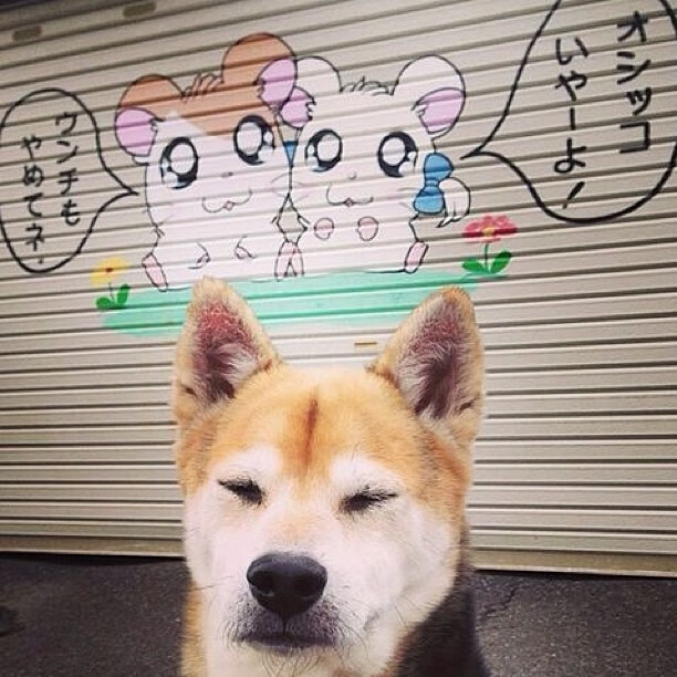 华体会app注册-塞尔·拉恩：全黑队的反击王，突破后迅速寻找机会，创造得分机会