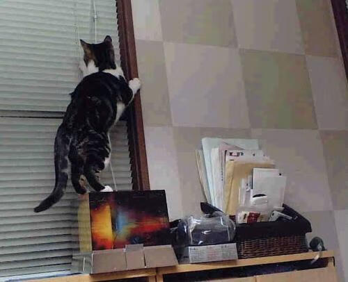 华体会app下载-快船制定比赛日流程提升队内效率，快船队的比赛