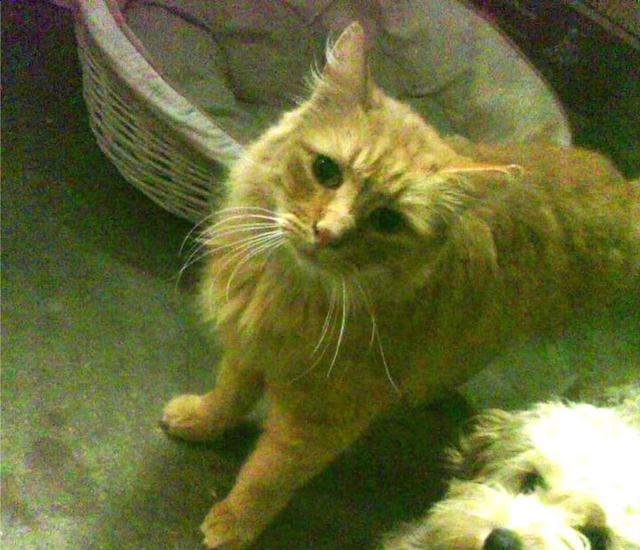 华体会-球队通过心理辅导缓解比赛压力提升临场决策与专注力，足球心理训练对于青少年球员产生的影响