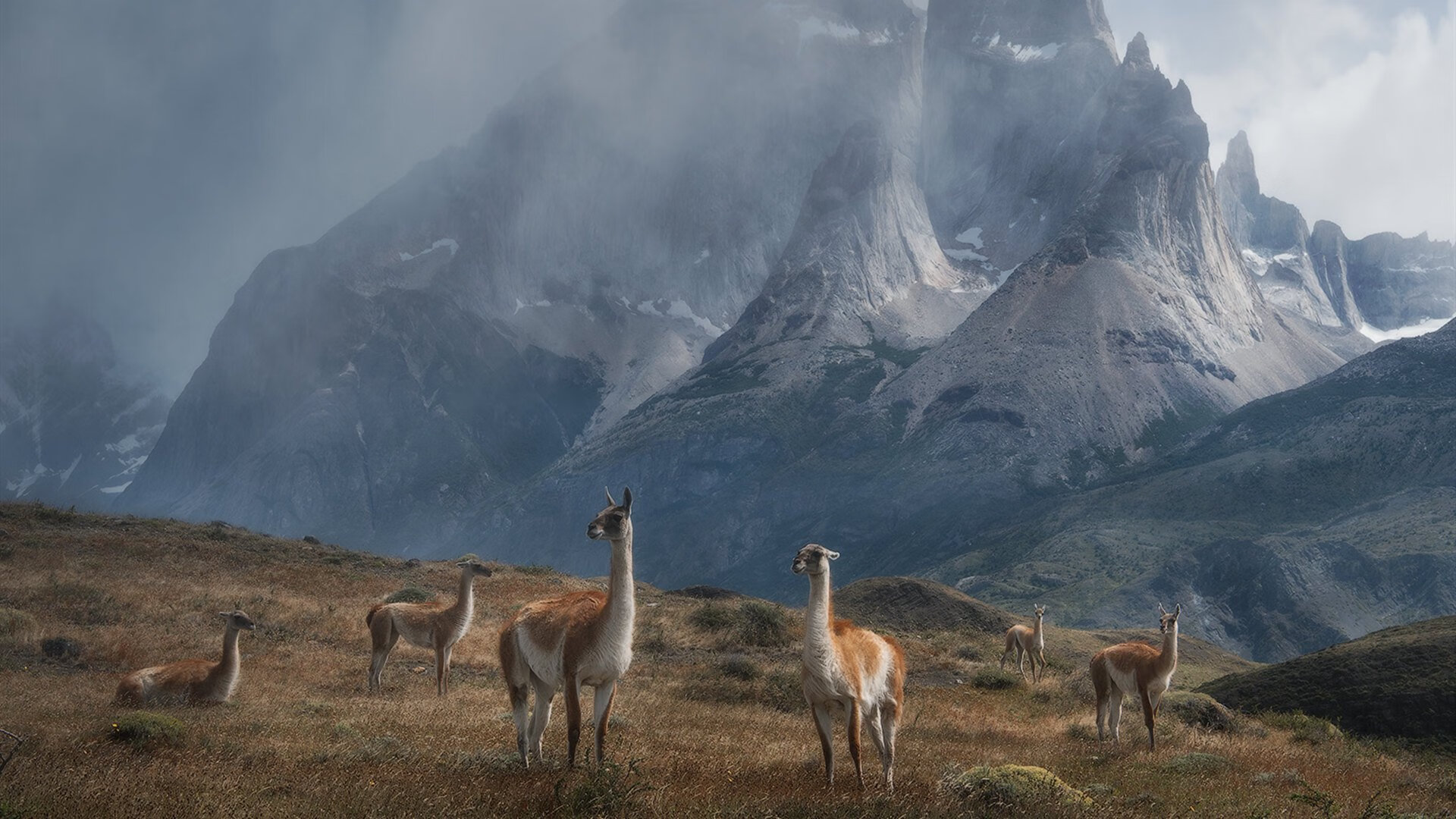 华体会网址-美洲杯激情四溢：明星秀场，精彩不断！，美洲 杯