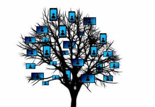 华体会手机网站-跨界合作推出足球主题的数字文创周边产品，市场反响火爆，足球数字货币有哪些