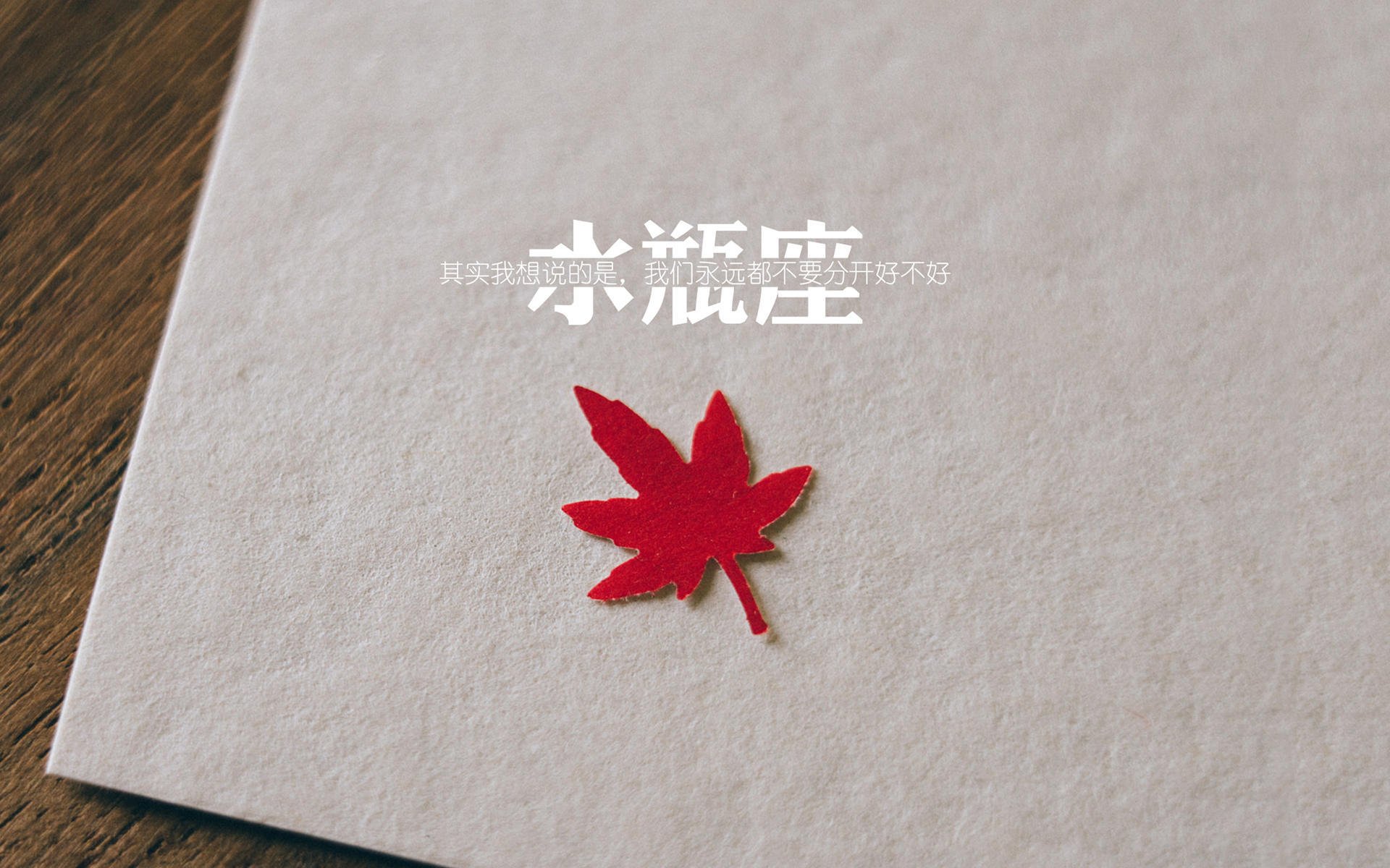 华体会在线下载-跳水选手姿态优雅比利时获认可，比利时跳水运动员