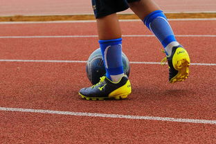 华体会app下载-FIFA排名最新：日本错失晋档 国足未进步，fifa20日本球员