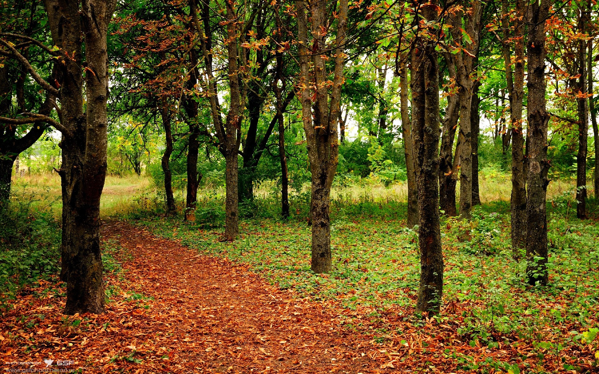 华体会app安装-不是老师差劲，而是社会逼迫教师难以施教，根本不是老师
