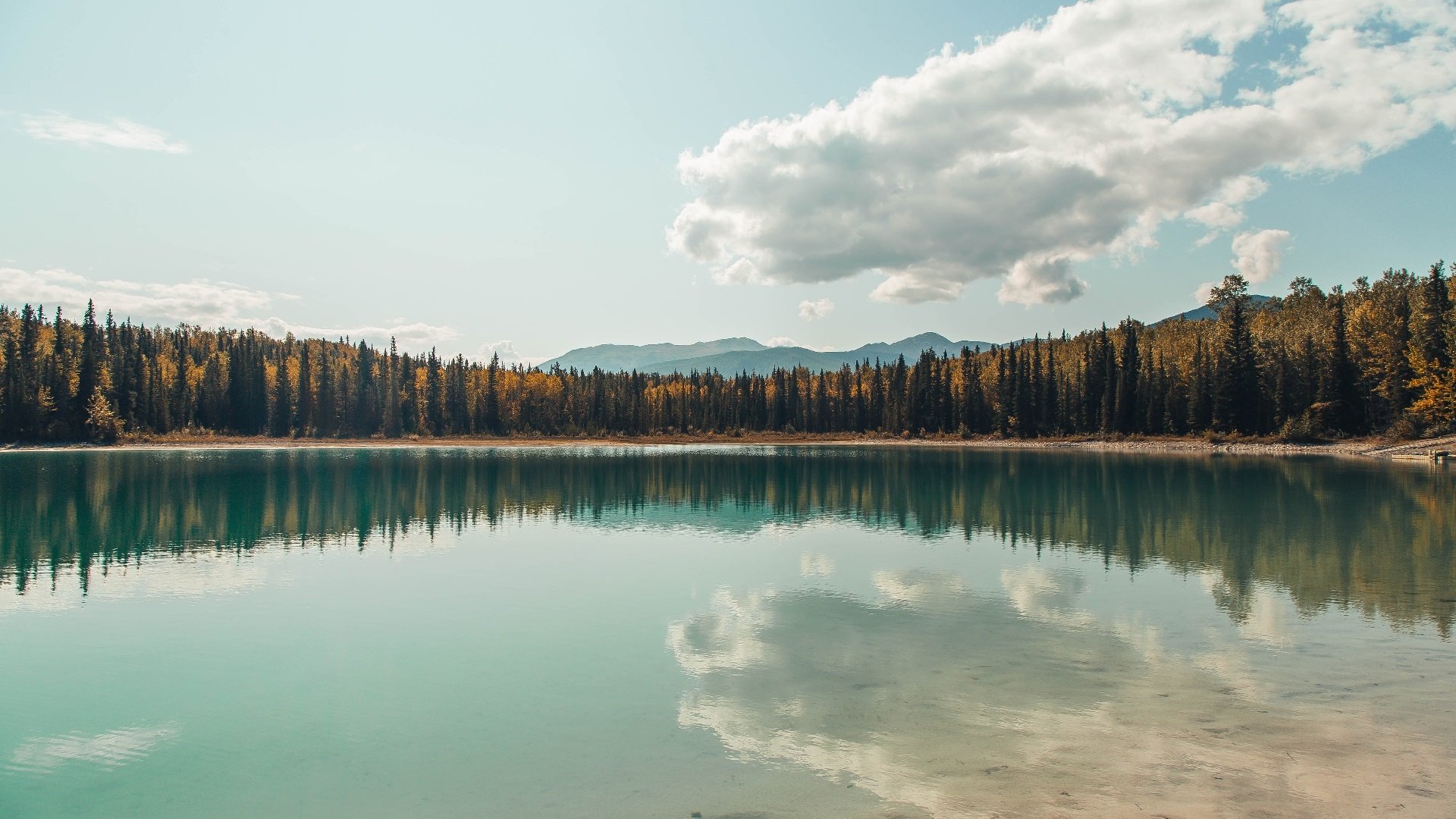 华体会-中国篮球主教练更迭对球队战术与士气的短期影响，中国国家队篮球主教练