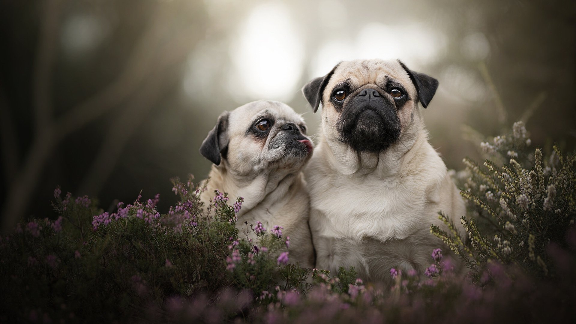 华体会官网-中国足球球员国体体育课与课余训练时间冲突问题，中国足球体能训练的问题