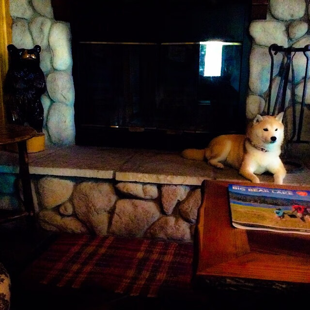 华体会平台-中超是否尝试球迷共建共治俱乐部试点计划，中超联赛赞助商名单