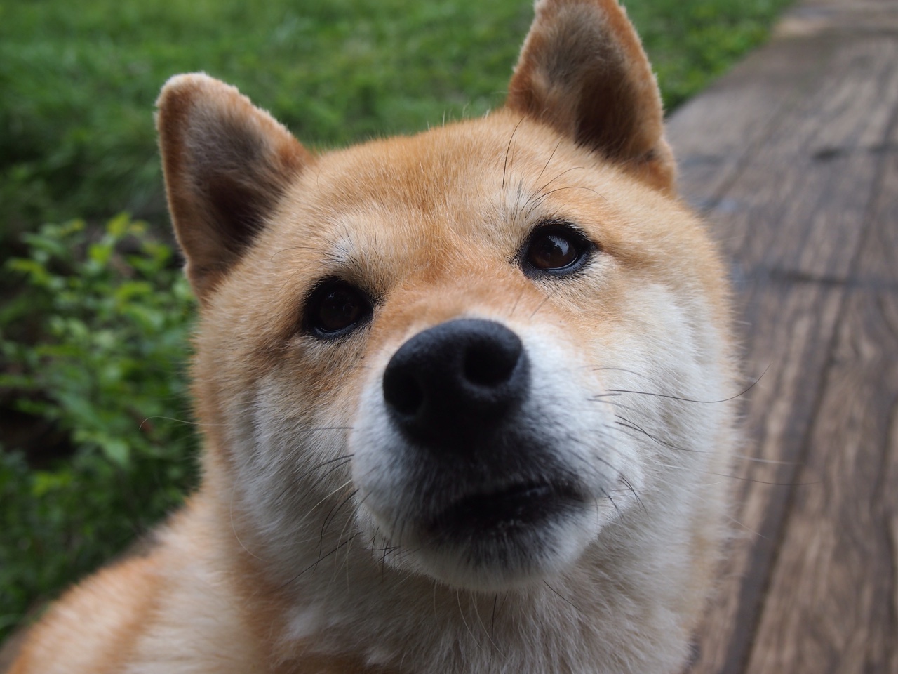 -主动召回展担当？三大品牌回应问题产品争议，召回排名