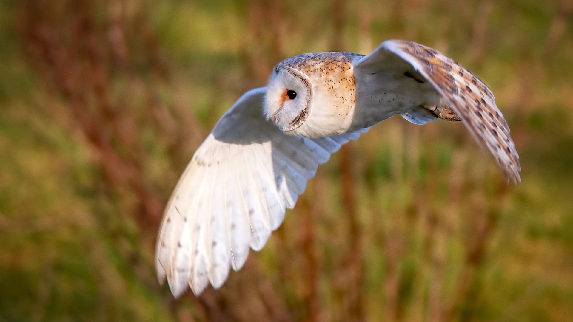 华体会app登入-俱乐部发布赛季青训目标与评估体系 明确培养方向，俱乐部青训什么意思