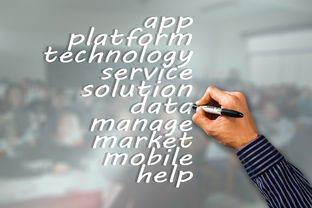 华体会平台-俱乐部新闻中心推出多语种内容拓展国际传播，俱乐部文化交流活动翻译